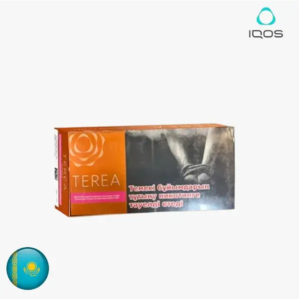 【琥珀濃原味】哈版煙彈IQOS ILUMA加熱菸主機專用 三天到貨 整條TEREA煙彈10包